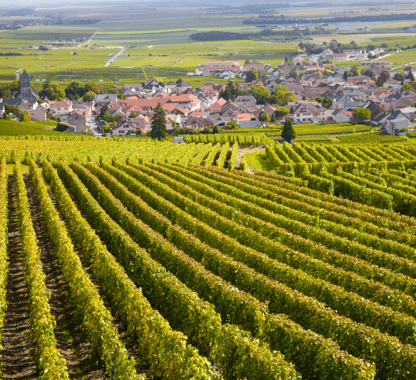 Un week-end enceinte en Bourgogne : douceur, détente et art de vivre entre Dijon et Beaune