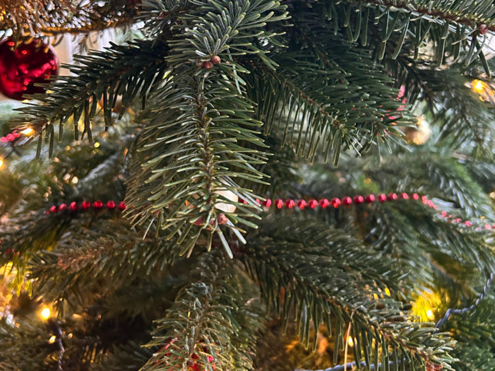 Bébé arrive en décembre : profiter de la fin de sa grossesse et préparer un Noël à trois